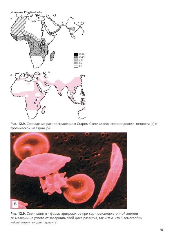  Коллектив авторов - Биология. Том 2 - Страница № 45