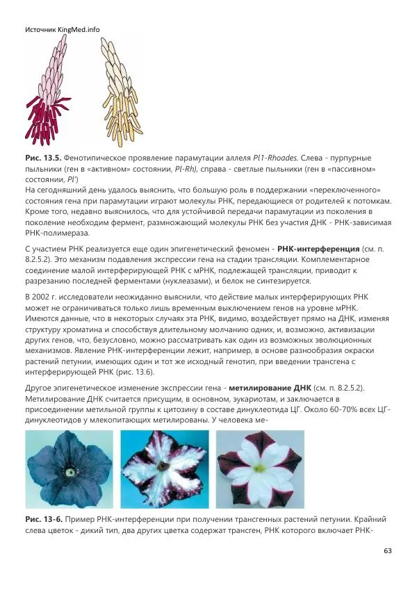  Коллектив авторов - Биология. Том 2 - Страница № 63