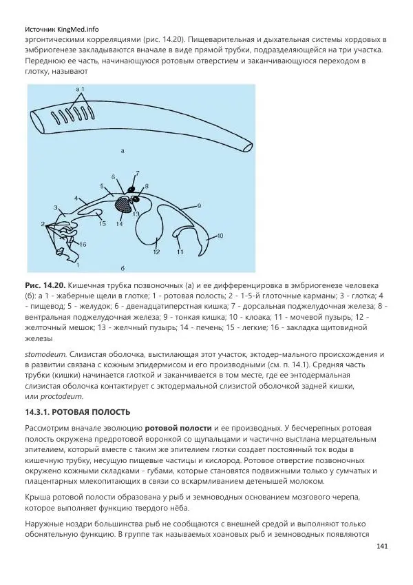  Коллектив авторов - Биология. Том 2 - Страница № 141