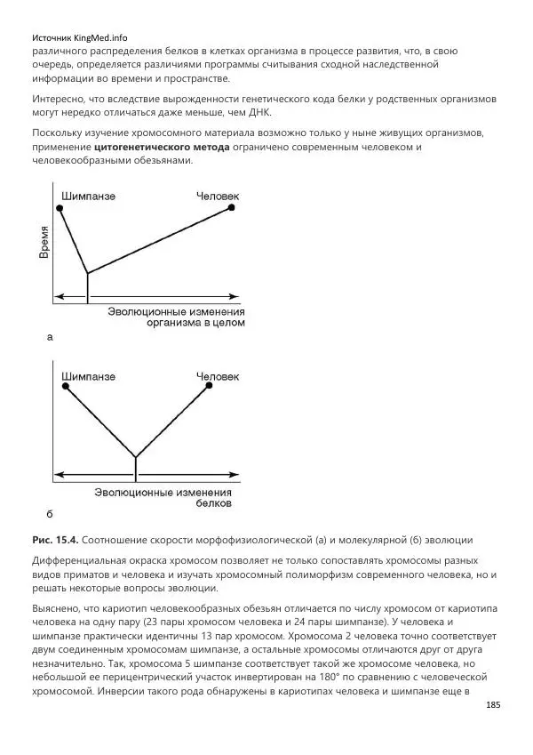  Коллектив авторов - Биология. Том 2 - Страница № 185