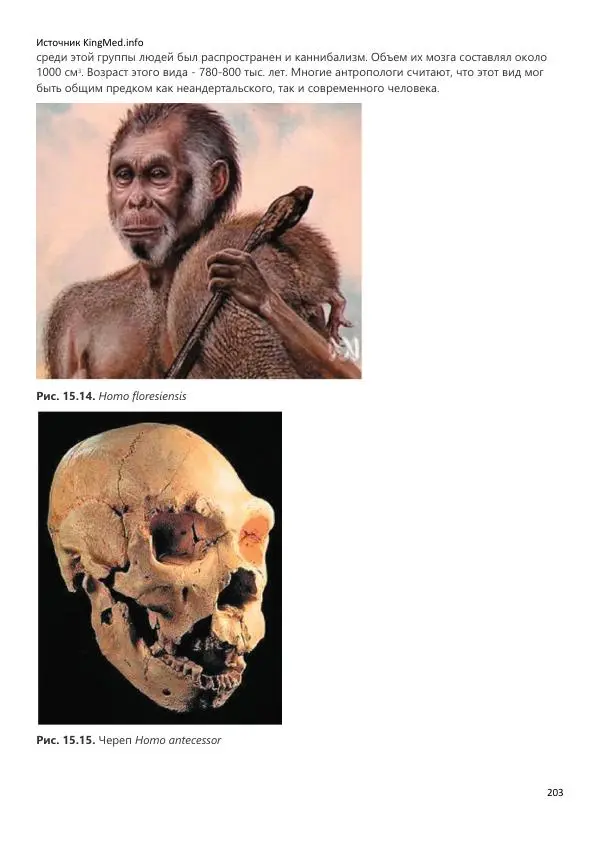  Коллектив авторов - Биология. Том 2 - Страница № 203