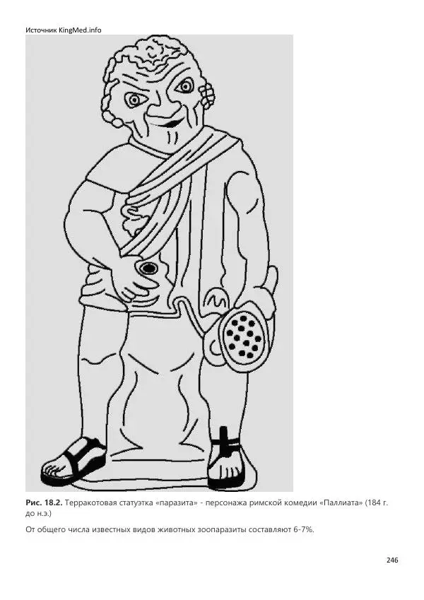  Коллектив авторов - Биология. Том 2 - Страница № 246