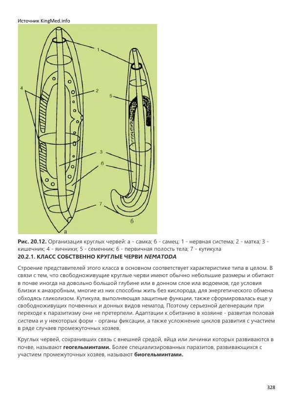  Коллектив авторов - Биология. Том 2 - Страница № 328