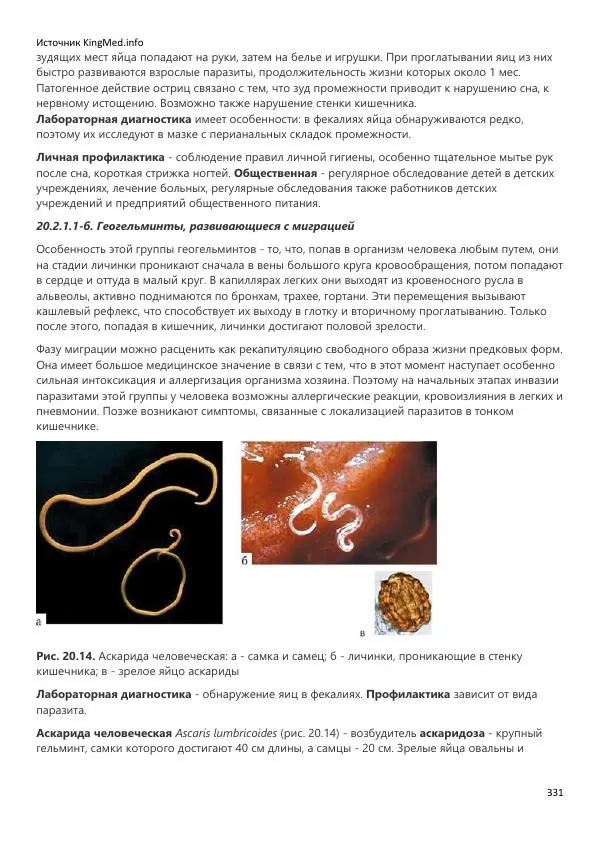  Коллектив авторов - Биология. Том 2 - Страница № 331