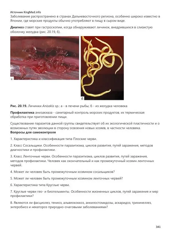  Коллектив авторов - Биология. Том 2 - Страница № 341
