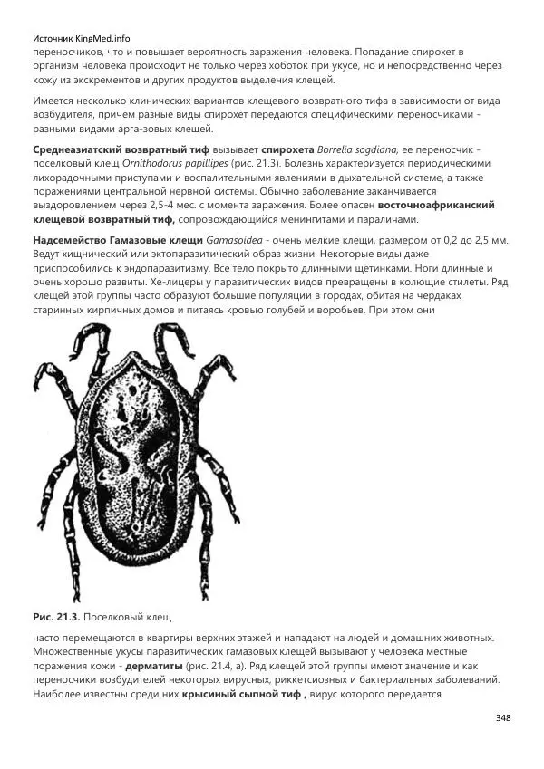  Коллектив авторов - Биология. Том 2 - Страница № 348