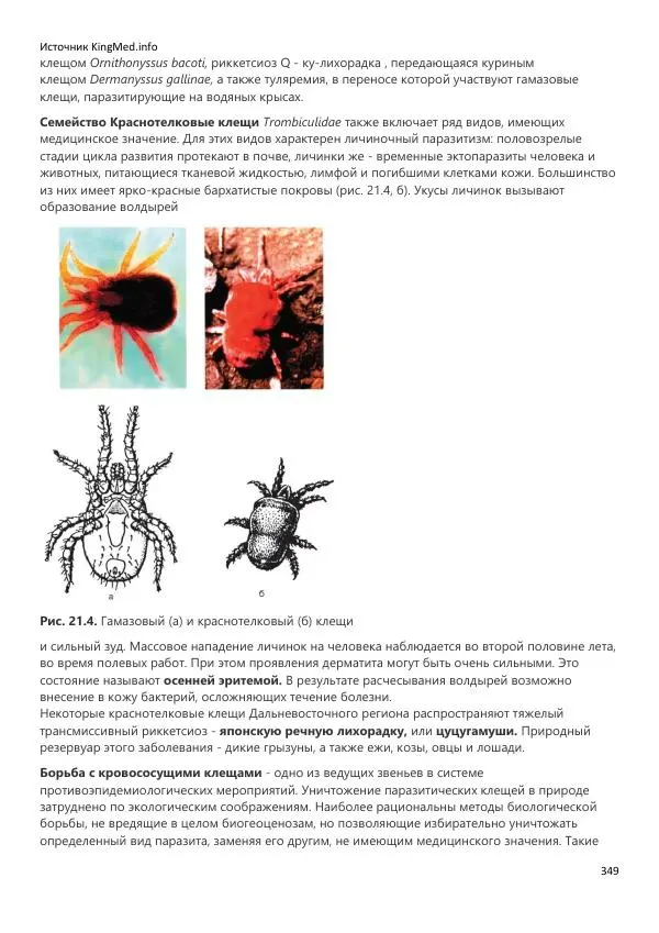  Коллектив авторов - Биология. Том 2 - Страница № 349