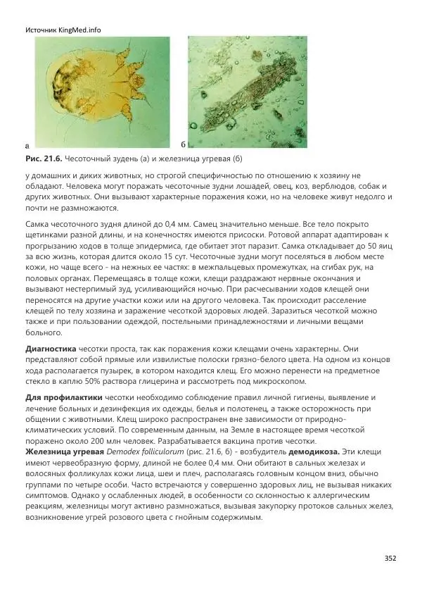  Коллектив авторов - Биология. Том 2 - Страница № 352