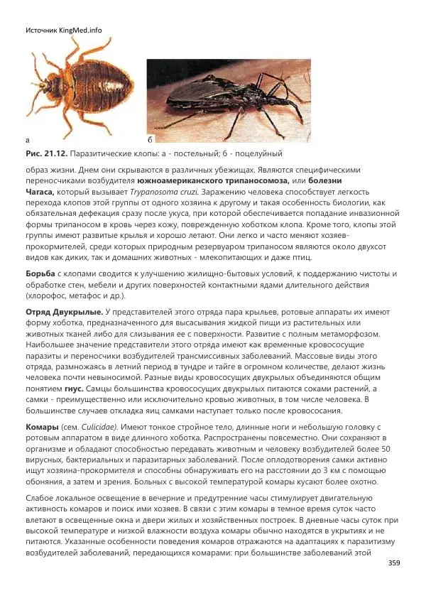  Коллектив авторов - Биология. Том 2 - Страница № 359