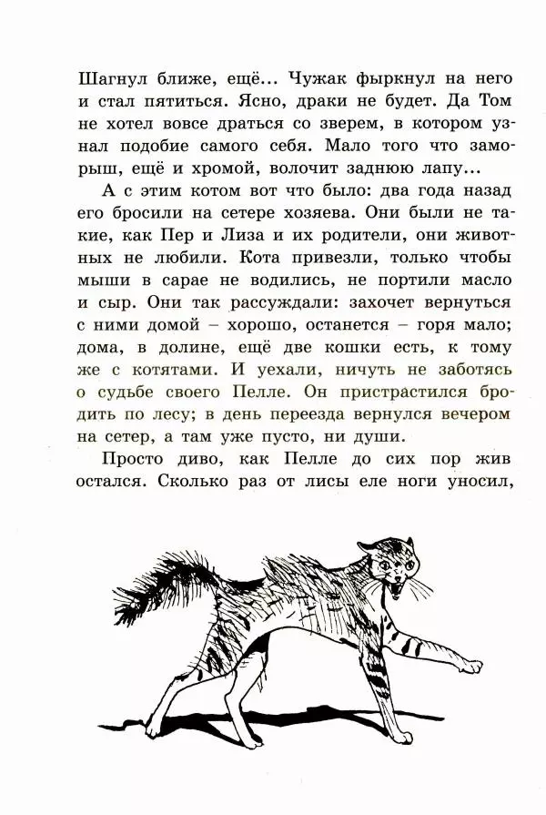Ингвалл Свинсос - Том в горах - Страница № 31
