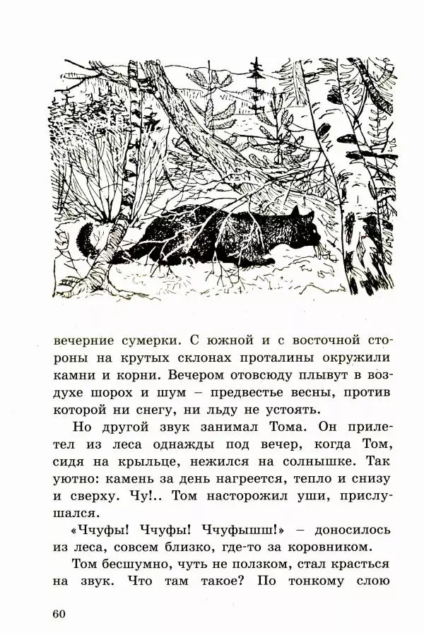 Ингвалл Свинсос - Том в горах - Страница № 63