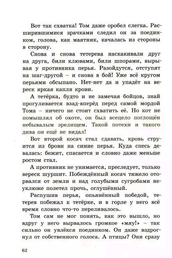 Ингвалл Свинсос - Том в горах - Страница № 65