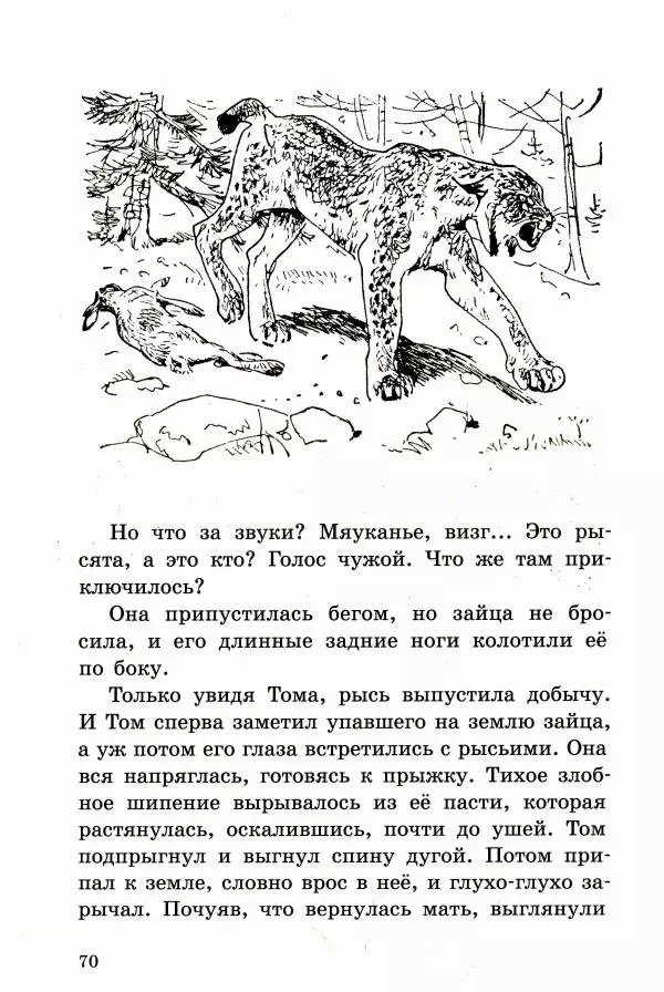 Ингвалл Свинсос - Том в горах - Страница № 73
