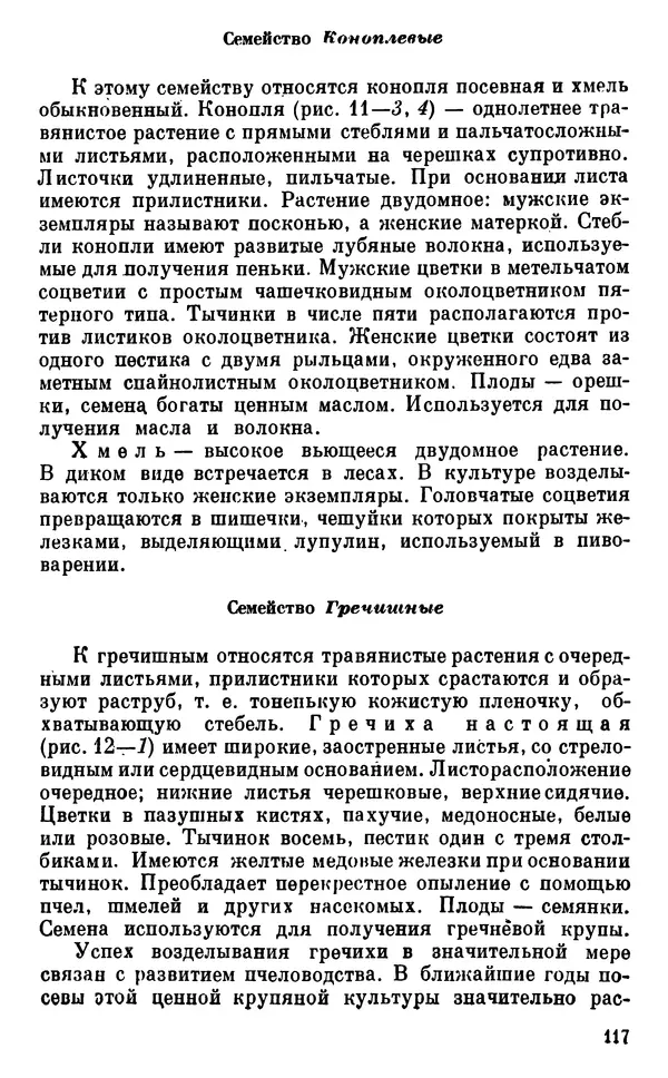 Владимир Исаин - Основы ботаники - Страница № 118
