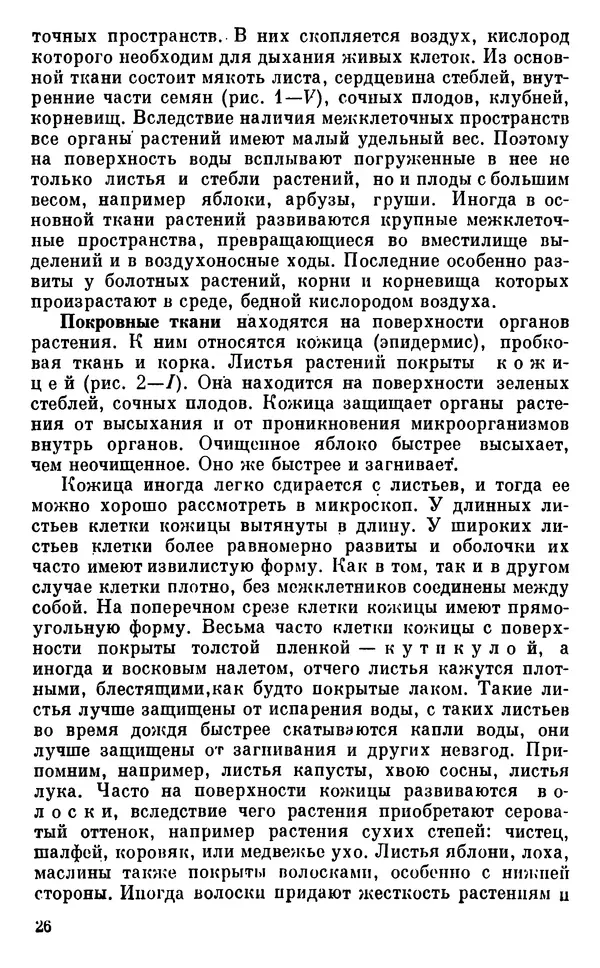 Владимир Исаин - Основы ботаники - Страница № 27