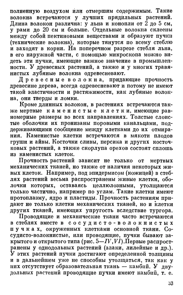 Владимир Исаин - Основы ботаники - Страница № 34