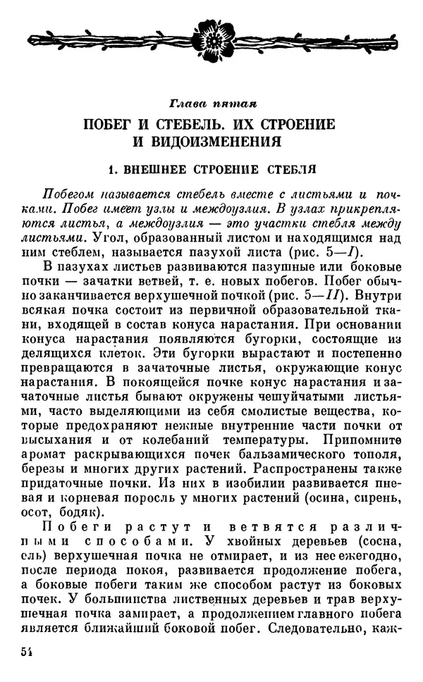 Владимир Исаин - Основы ботаники - Страница № 55