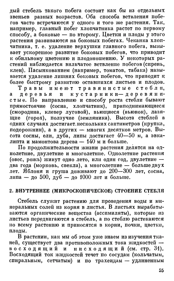 Владимир Исаин - Основы ботаники - Страница № 56