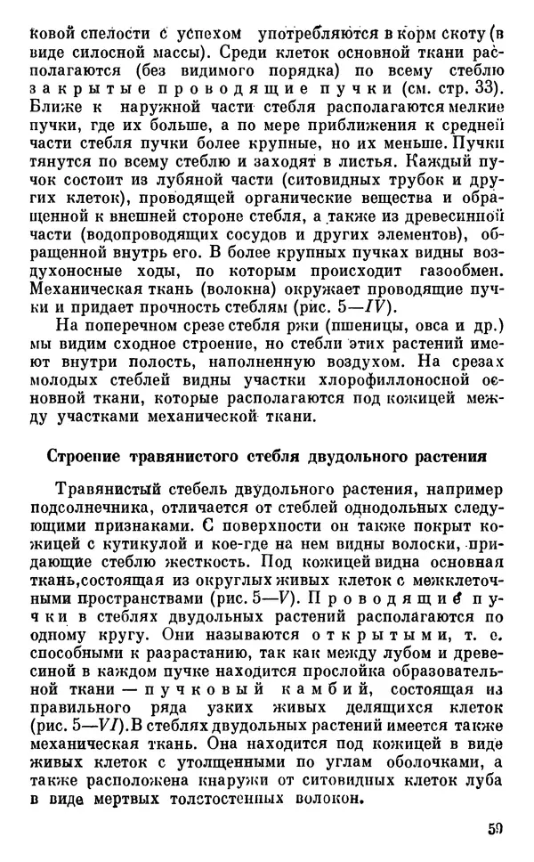 Владимир Исаин - Основы ботаники - Страница № 60