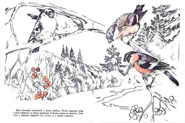 Анатолий Онегов - Птичья столовая - Страница № 6