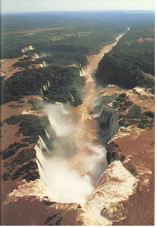 Дэвид Эттенборо - Живая планета - Страница № 214