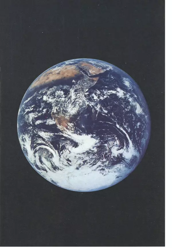 Дэвид Эттенборо - Живая планета - Страница № 316