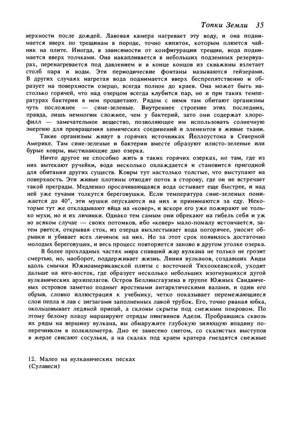 Дэвид Эттенборо - Живая планета - Страница № 38
