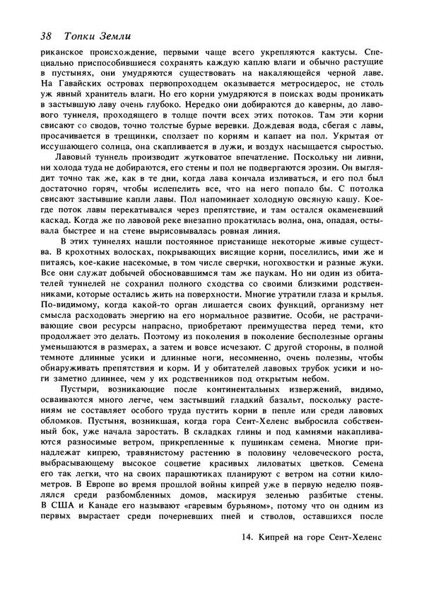 Дэвид Эттенборо - Живая планета - Страница № 41