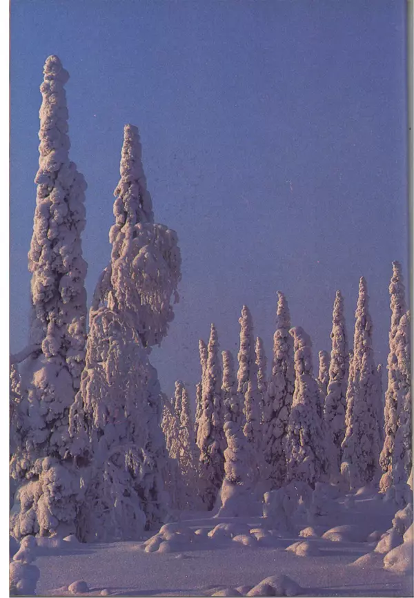 Дэвид Эттенборо - Живая планета - Страница № 71