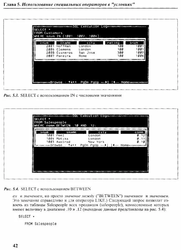 Мартин Грабер - SQL для простых смертных - Страница № 56