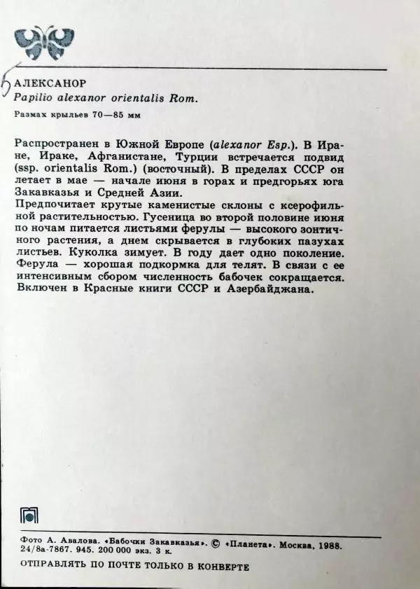 Р. Эффенди - Бабочки Закавказья - Страница № 12