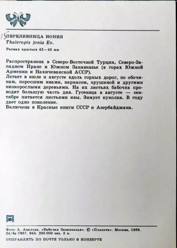 Р. Эффенди - Бабочки Закавказья - Страница № 32