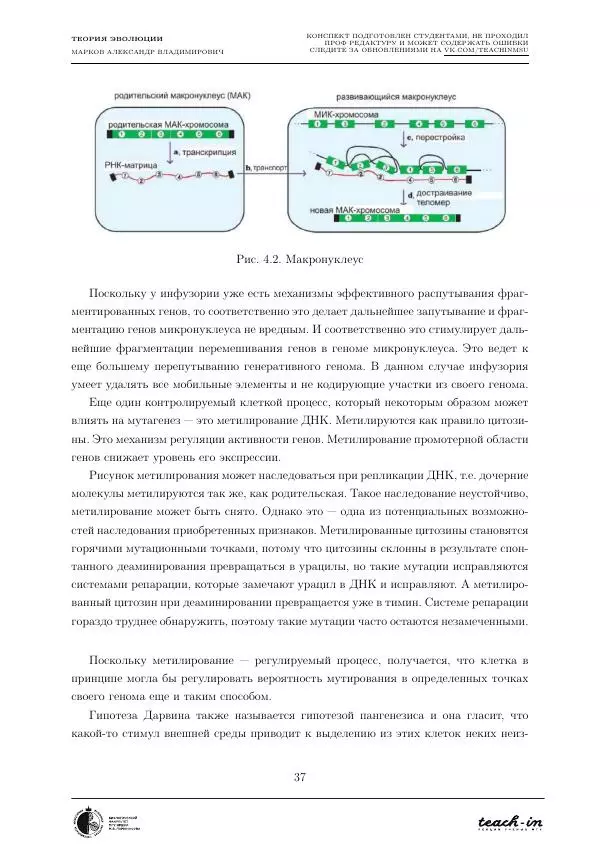 Александр Марков - Теория эволюции - Страница № 37