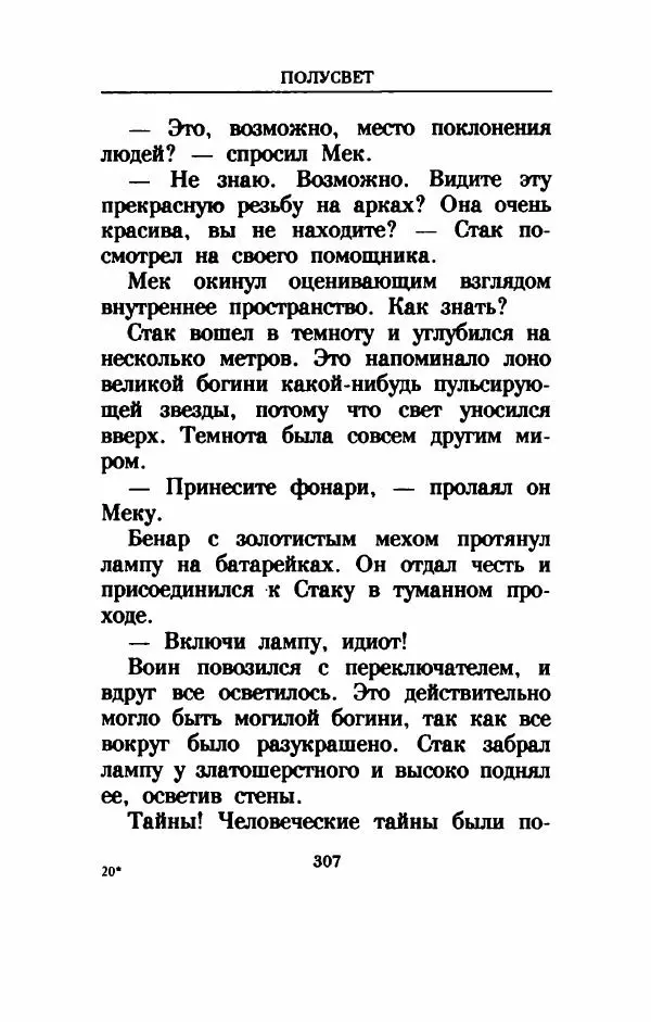 Дениз Витола - Полусвет - Страница № 312