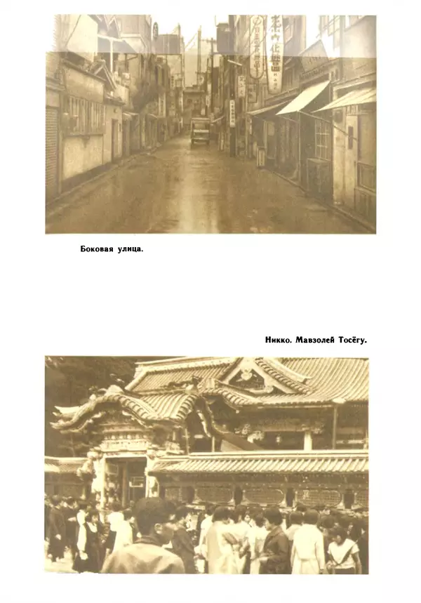 Николай Верзилин - Пылинки дальних стран - Страница № 234