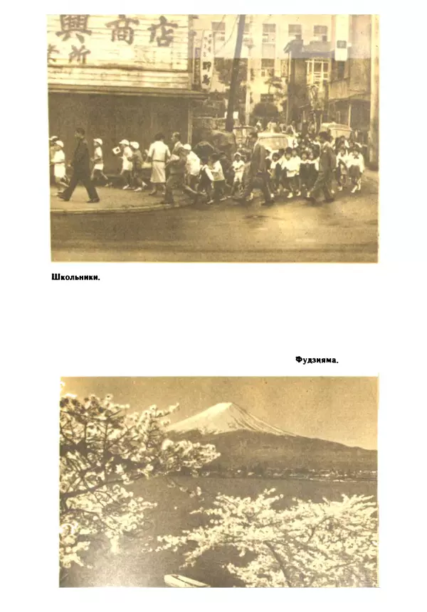 Николай Верзилин - Пылинки дальних стран - Страница № 237