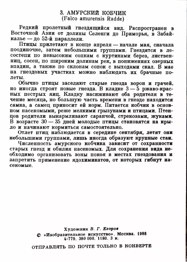 А. Васильченко - Птицы России. Сибирь. Выпуск 5 - Страница № 8