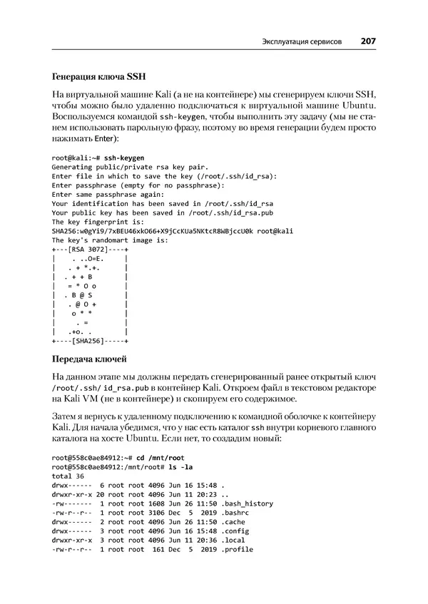 Гас Хаваджа - Kali Linux. Библия пентестера - Страница № 207