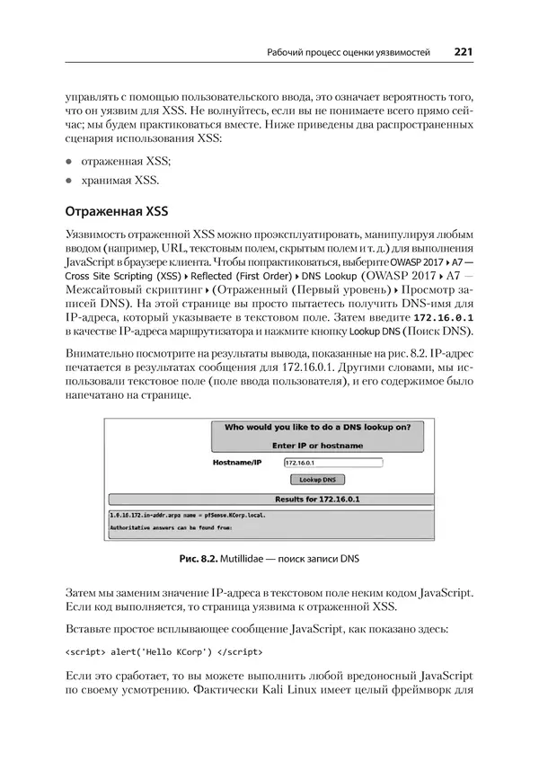 Гас Хаваджа - Kali Linux. Библия пентестера - Страница № 221