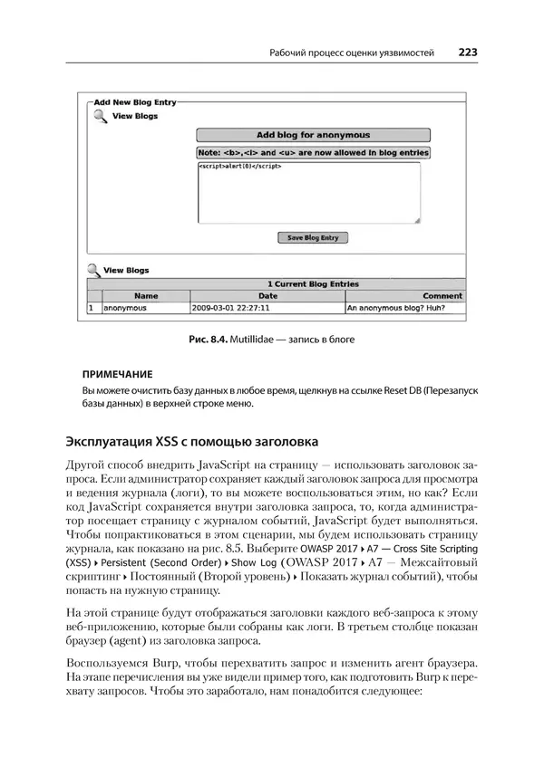Гас Хаваджа - Kali Linux. Библия пентестера - Страница № 223