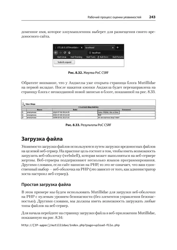 Гас Хаваджа - Kali Linux. Библия пентестера - Страница № 243