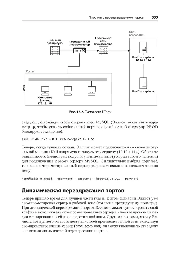 Гас Хаваджа - Kali Linux. Библия пентестера - Страница № 335