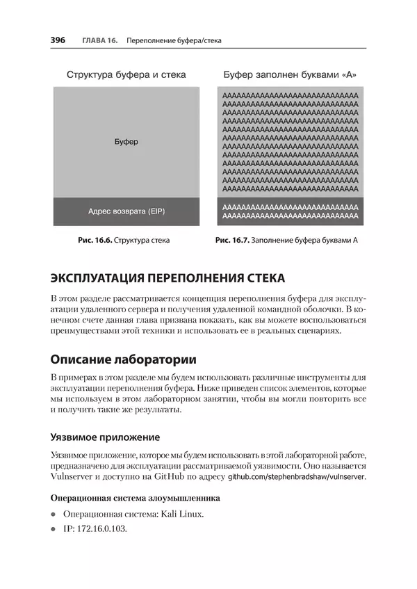 Гас Хаваджа - Kali Linux. Библия пентестера - Страница № 396