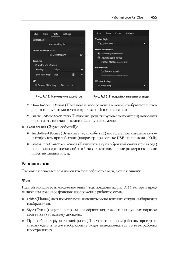 Гас Хаваджа - Kali Linux. Библия пентестера - Страница № 455