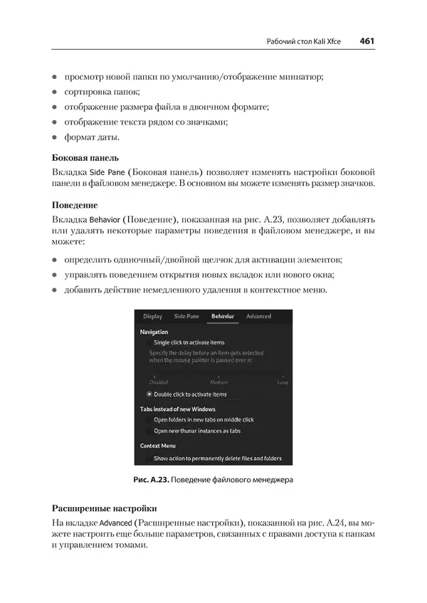 Гас Хаваджа - Kali Linux. Библия пентестера - Страница № 461