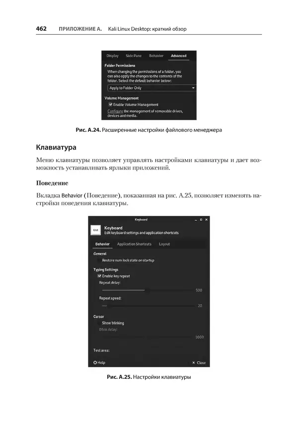 Гас Хаваджа - Kali Linux. Библия пентестера - Страница № 462