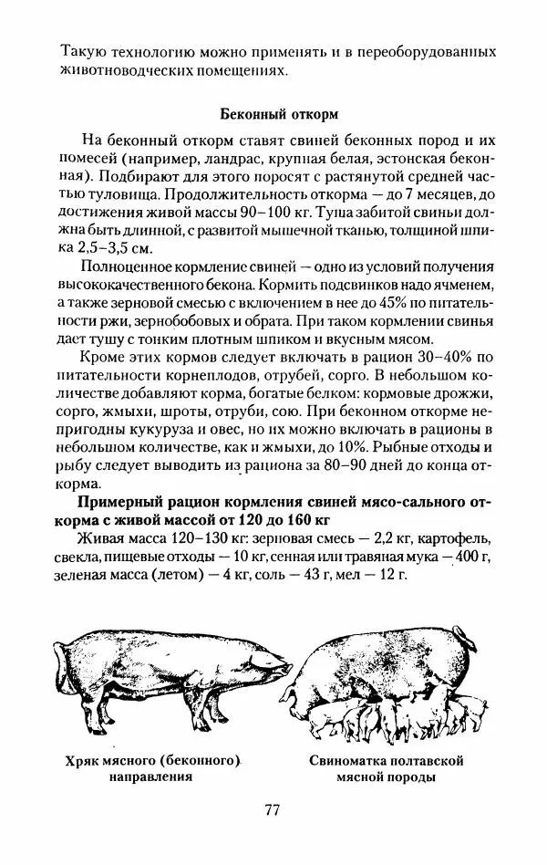 Виктор Горбунов - Свиньи. Разведение. Содержание. Уход - Страница № 78