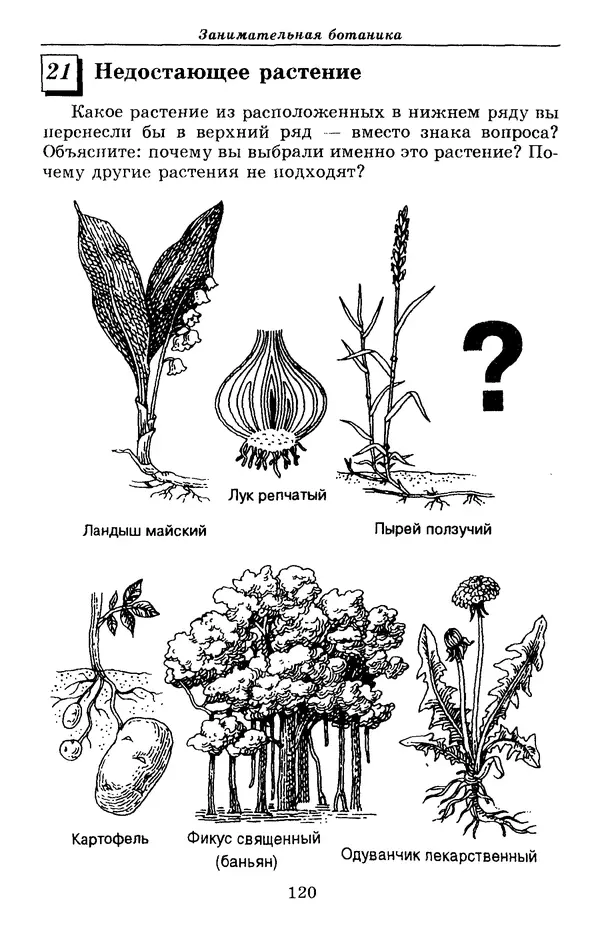 Валерий Рохлов - Занимательная ботаника - Страница № 120